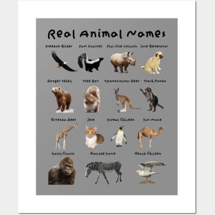 Real Animal Names Posters and Art